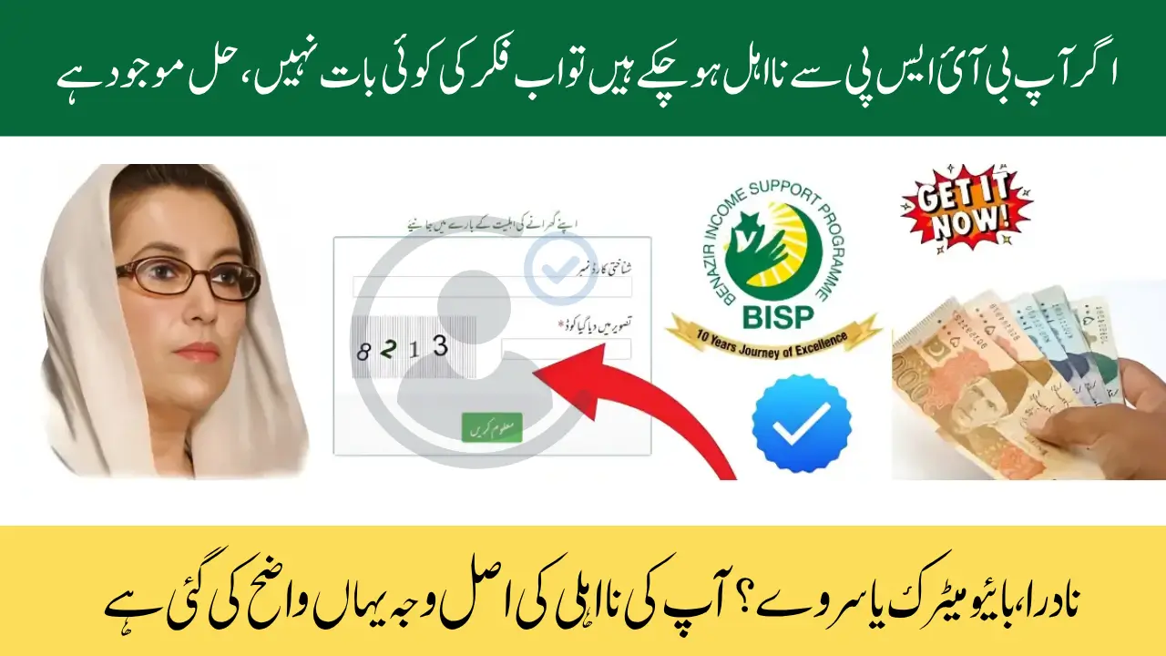 BISP 8171 Ineligible Reasons Complete Guide to Fix Status and Receive Payment 2025